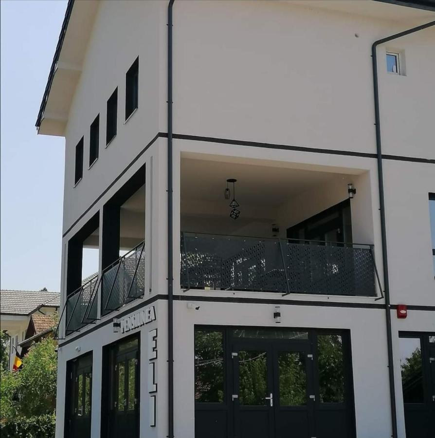 Pensiunea Eli Buziaş Exterior foto